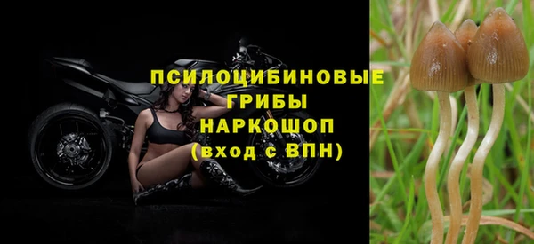 бошки Володарск