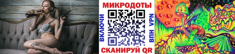 дарк нет клад  Элиста  Галлюциногенные грибы Magic Shrooms  где купить наркоту 
