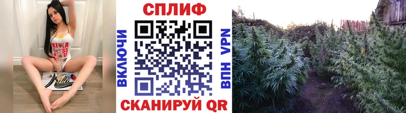 Бошки Шишки семена  blacksprut ONION  Элиста 